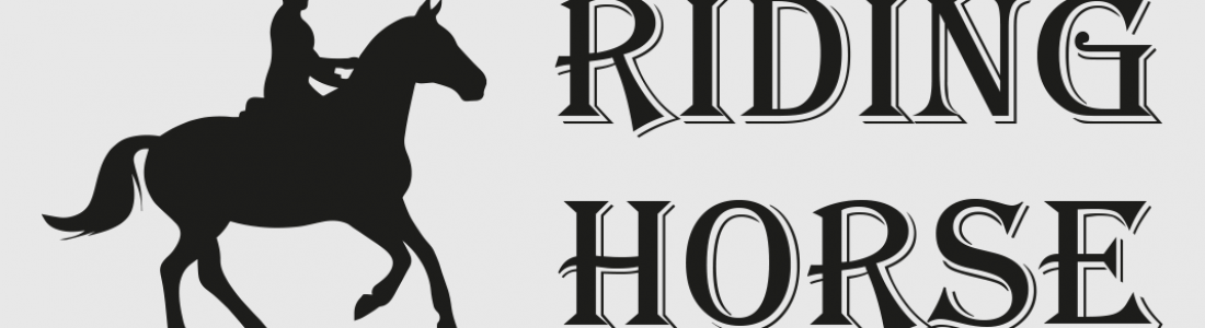 riding-horse-logo - Web & Graphic Design Agency - Greater Manchester